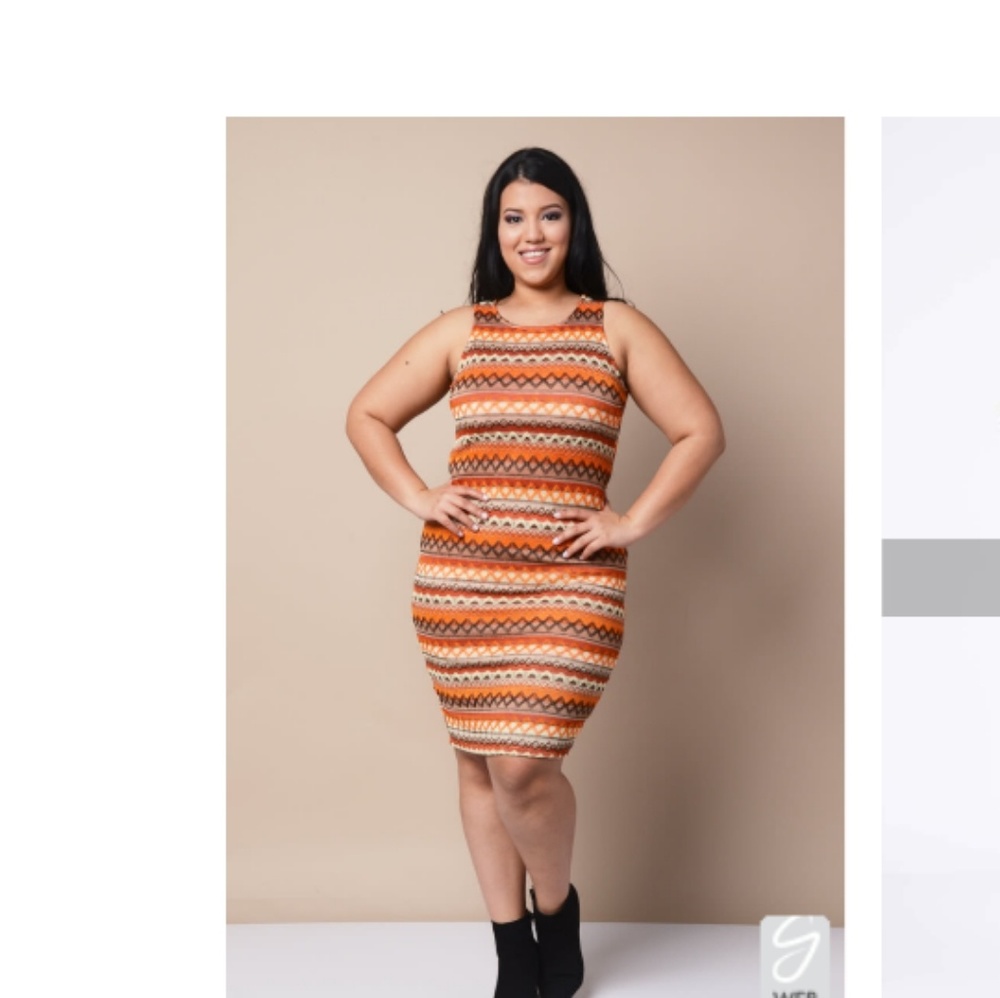 Plus Size Multi colored fall dress